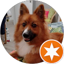 Image Google de Flo Lemoine