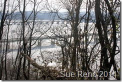 Ice on the Susquehanna River, 2/2014, by Sue Reno, Image 7