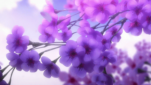 tumblr_my2td9HVDf1svfte7o1_500.gif