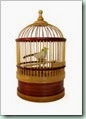 clockwork-canary-in-a-cage-498763-m