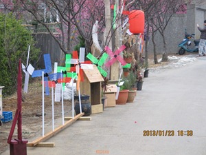 平菁街42巷寒櫻 - 062