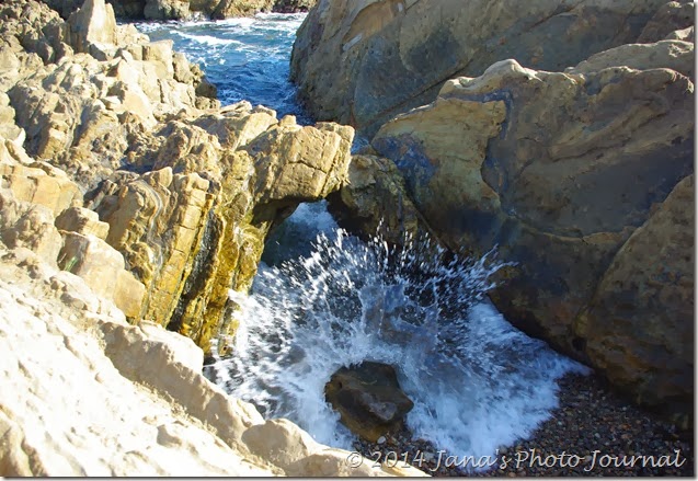 Point Lobos, California