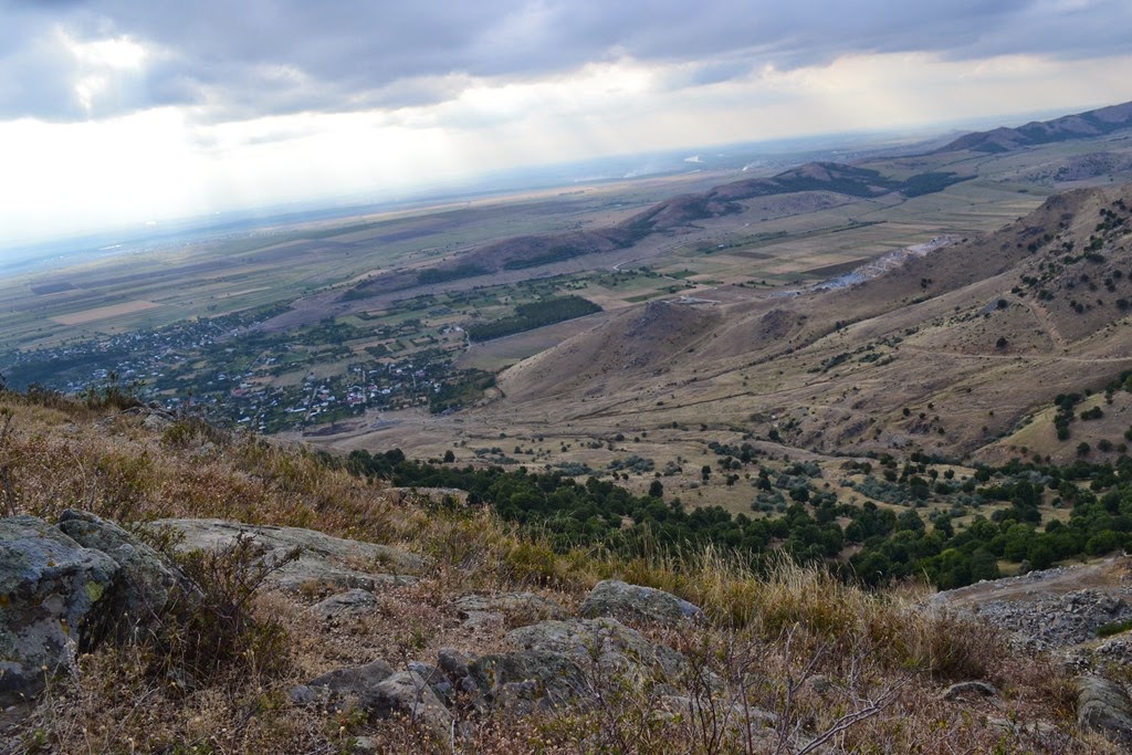 [DSC_73143.jpg]
