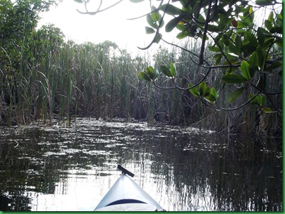 9 mile pond paddle 110