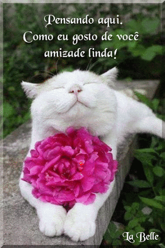 AMIZADE%2520LINDA.gif%E2%80%9D%20width=