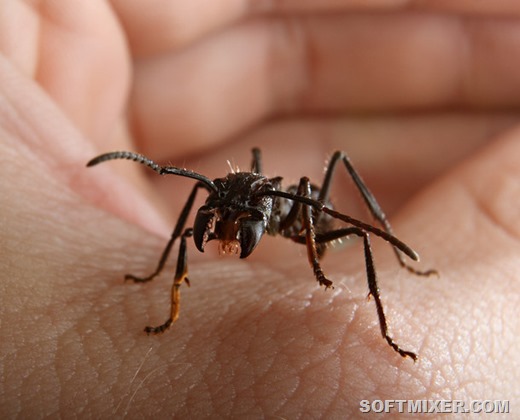 [IkPwF%255B5%255D.jpg]