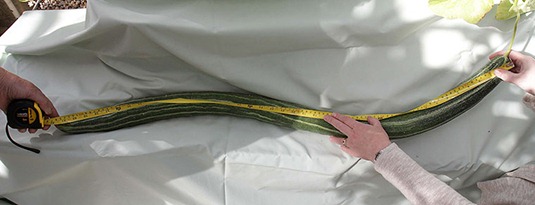 [clip_image004%255B3%255D.jpg]