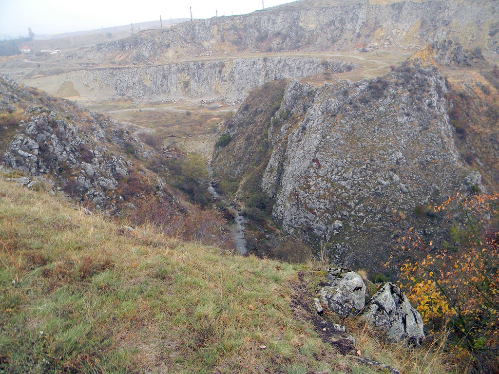 [DSCN43293.jpg]