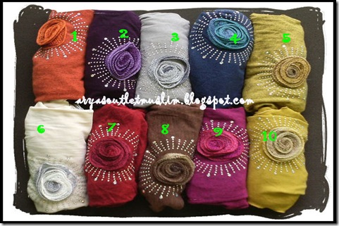 warna-warna syria import mawar