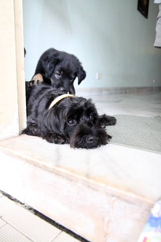 [IMG_0116%255B4%255D.jpg]