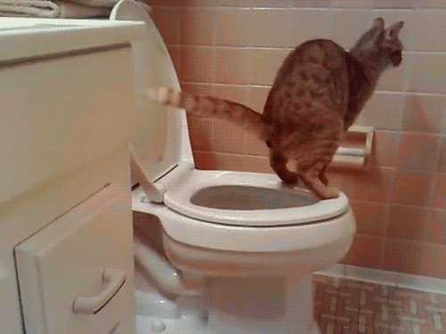 [%2521cid_F3906CFEE5024527A9D90C2465687A90%2540Pera%255B2%255D.gif]