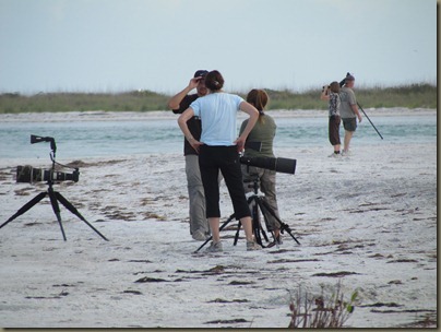 Fort Desoto North Beach area Fort Desoto North Beach area