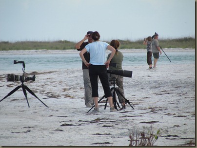 Fort Desoto North Beach area