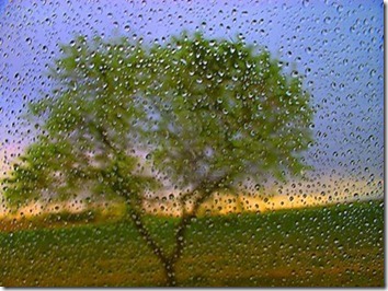 dia mundial del agua (18)