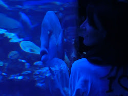 2012-10-20 Mallorca by BREITENGRAD53 - 195