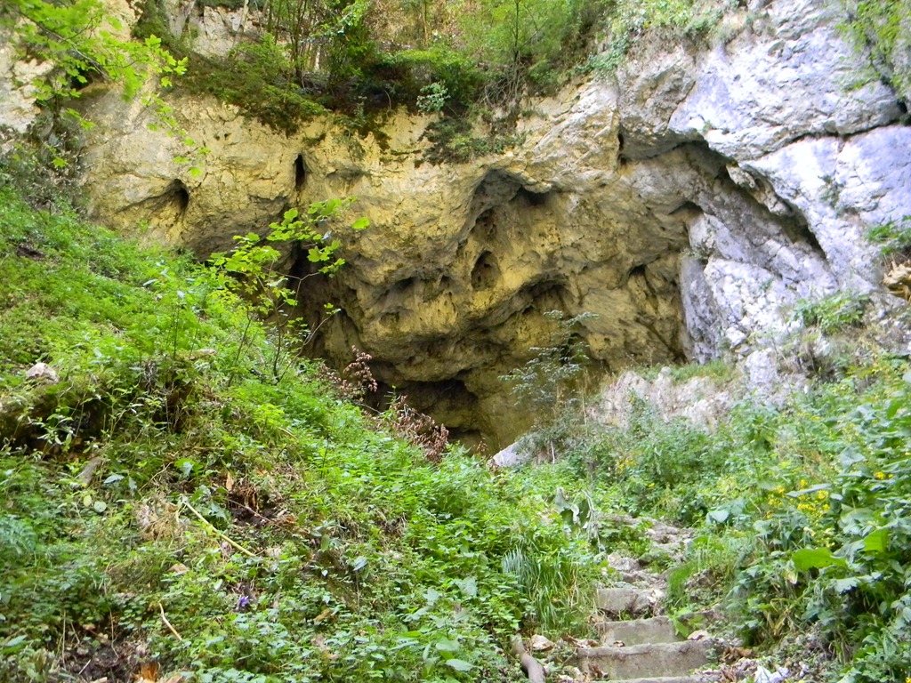 [DSCN18583.jpg]