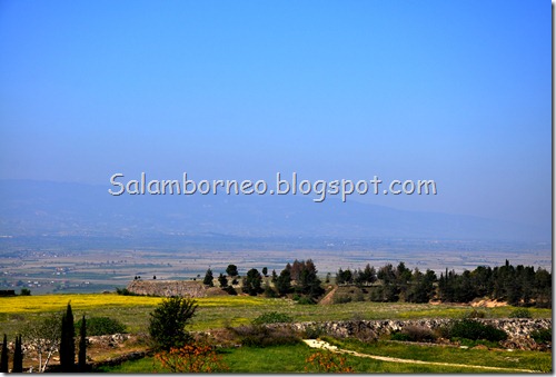 DSC_2318_Fotor DSC_2318_Fotor