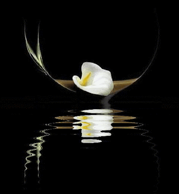 6e890996.gif
