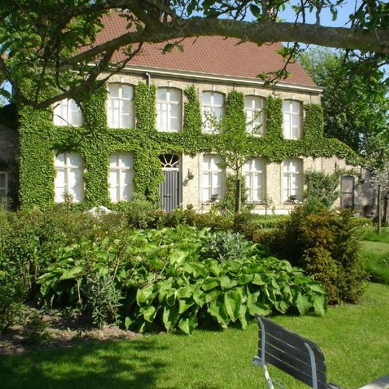 Moving to Belgium ?