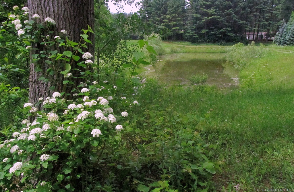 [IMG_0350%255B7%255D.jpg]