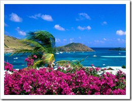 saint_martin_caribbean_archipelago 