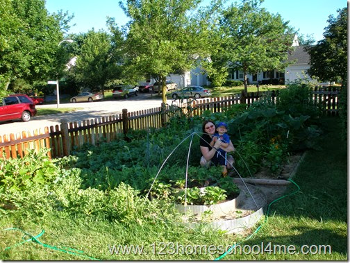 Gardening with Kids, 30-45 days after planting