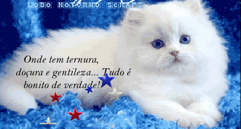 photo_name.gif