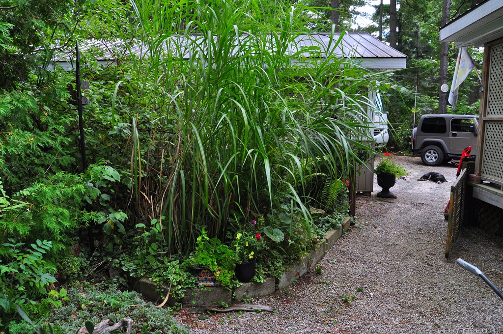 [DSC_0002%255B7%255D.jpg]