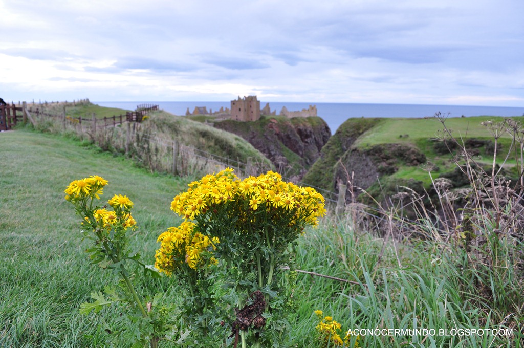 [Stonehaven.%2520Castillo%2520Dunnotar-DSC_0295%255B4%255D.jpg]