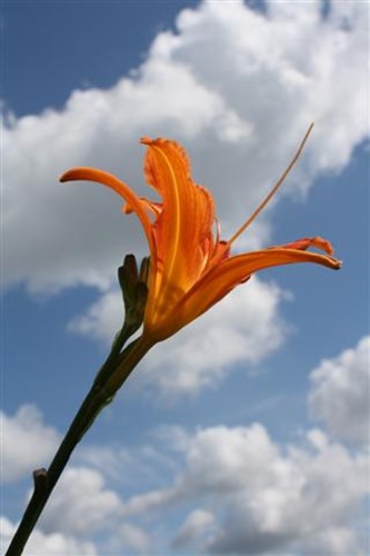 20100708 (1) (Small)