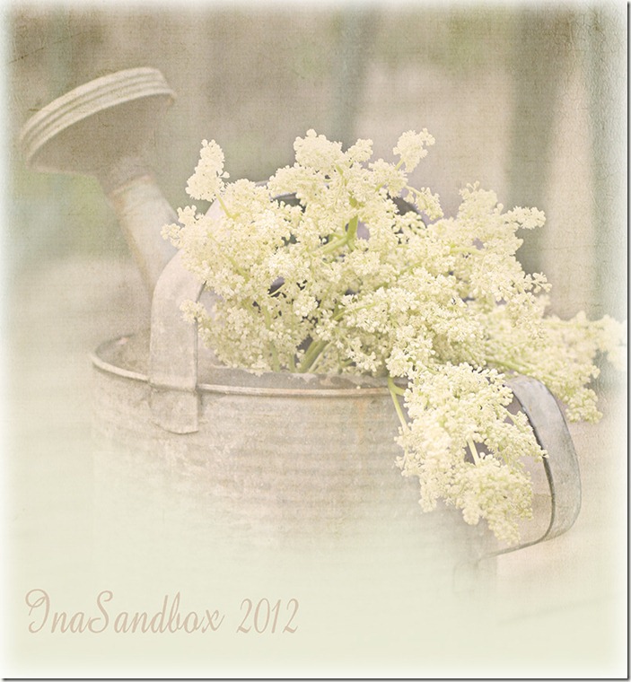 watering-can-with-textures-for-web