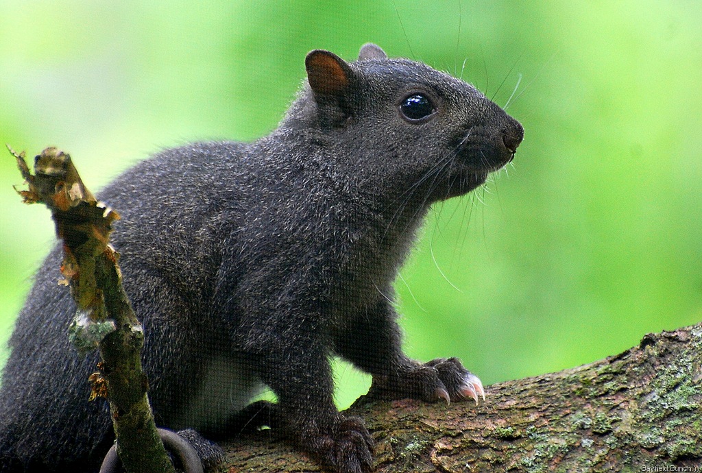 [DSC_3967%255B3%255D.jpg]