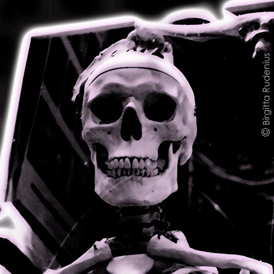 pm_20110911_skelett