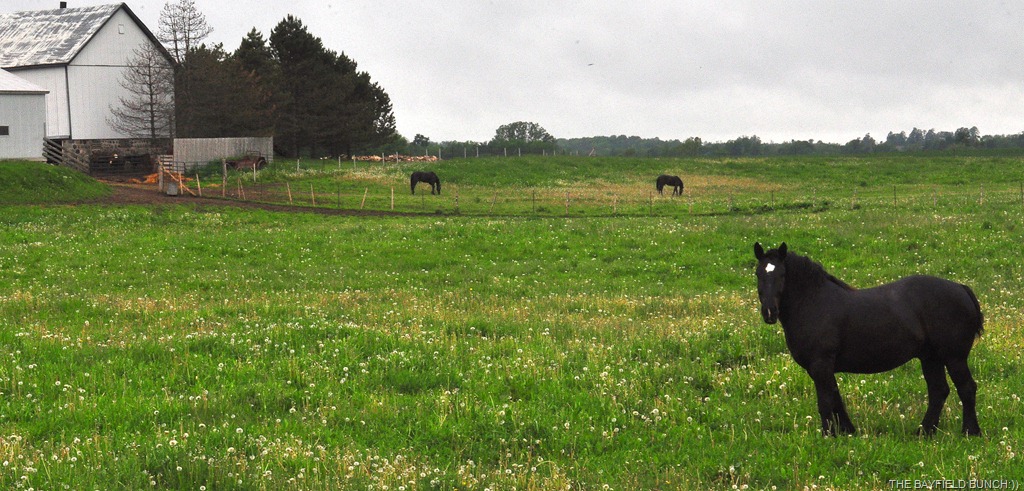 [DSC_0046%255B4%255D.jpg]