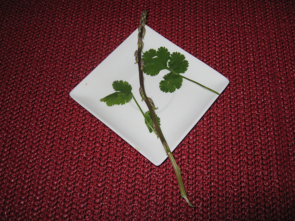 [025%255B3%255D.jpg]