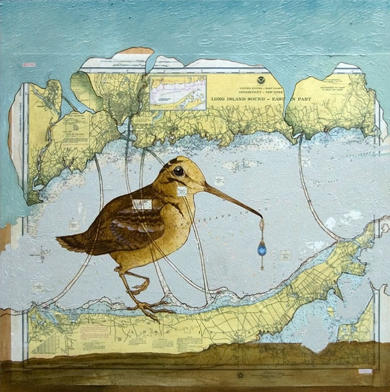 Long-Island-Woodcock