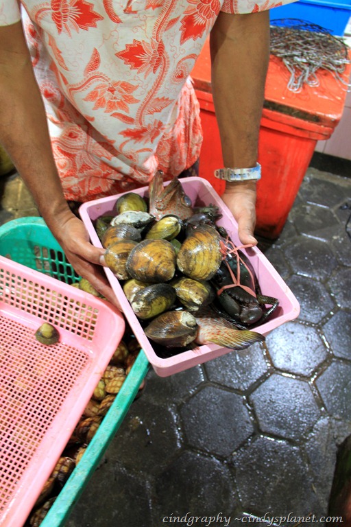 [DPP%2520Bali%2520%2528619%2529%255B4%255D.jpg.webp]