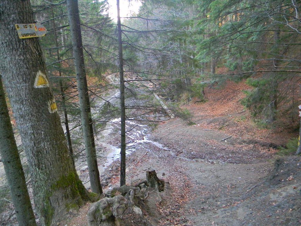 [DSCN27933.jpg]