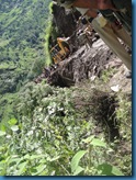 landslide Joshimath