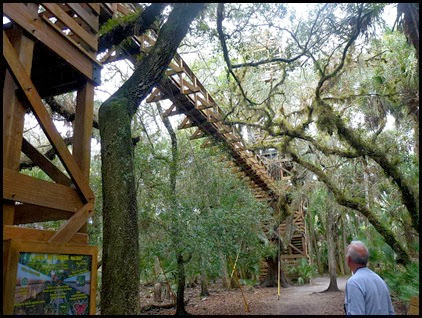 03b - Tree Canopy Walkway