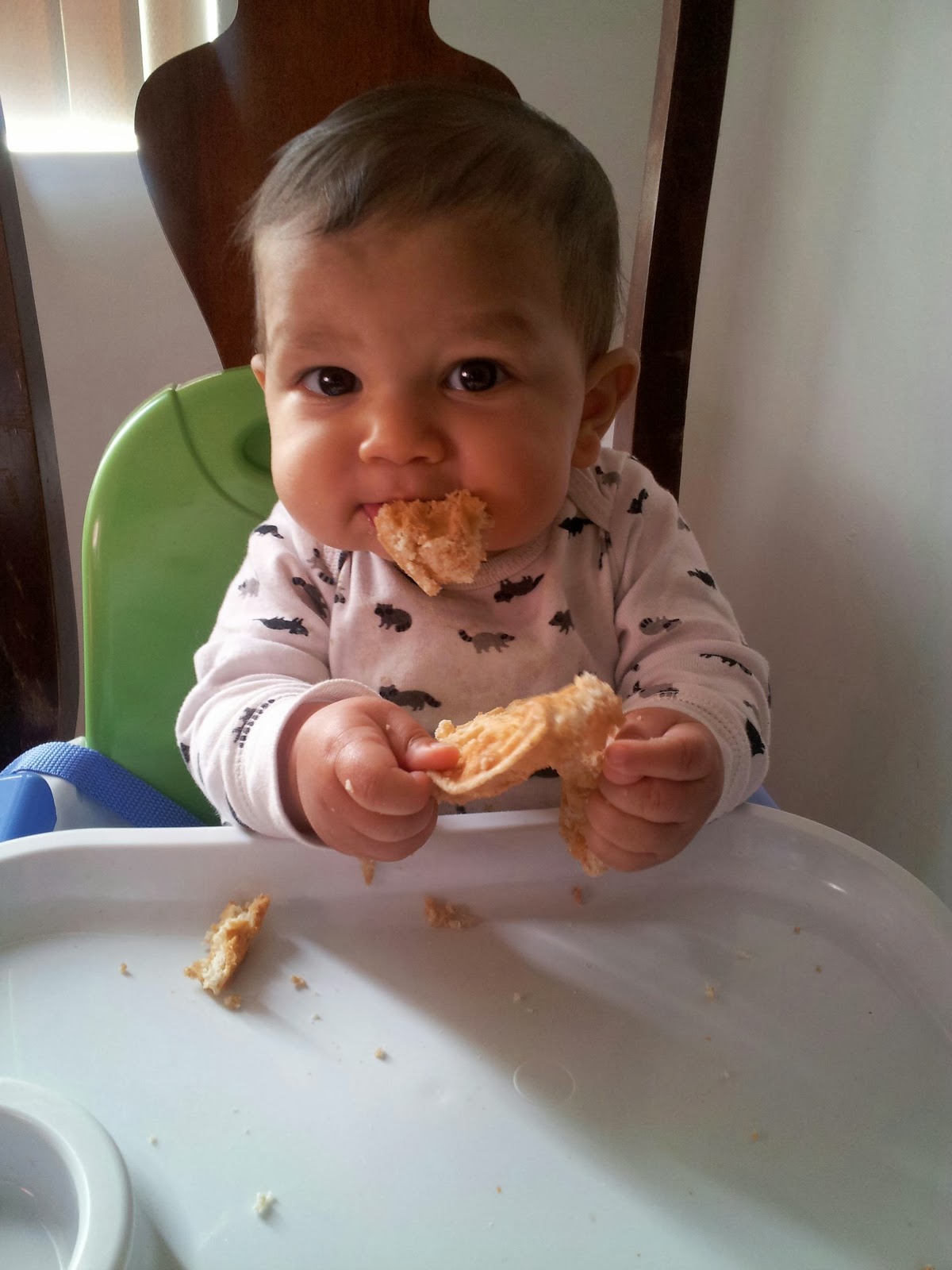 The Joni Journey Baby Eats A Sample 9 Month Old's Meal Plan