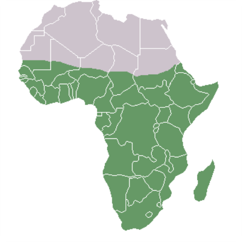 Sub-Saharan-Africa