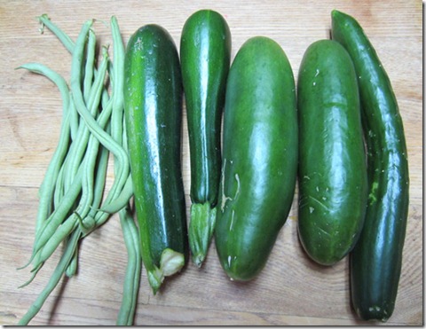 Beans, zucchini and cukes