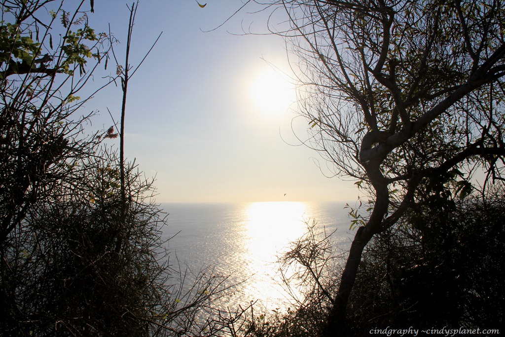 [DPP%2520Bali%2520%2528580%2529%255B3%255D.jpg.webp]