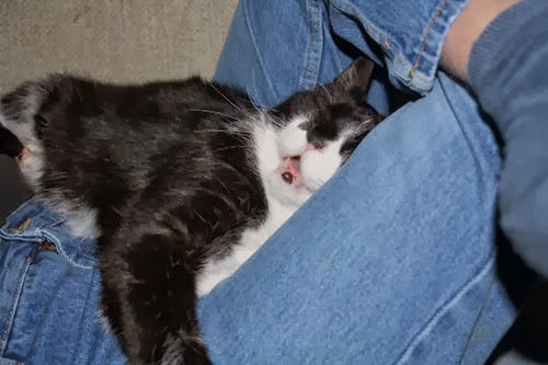 20100308 (1) (Large)