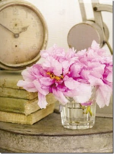 pale pink peonies in water glass