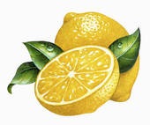 [lemons%25202%255B3%255D.jpg]