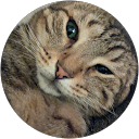 Image Google de Lor Pepette
