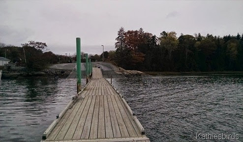 10-21-14 view from dock