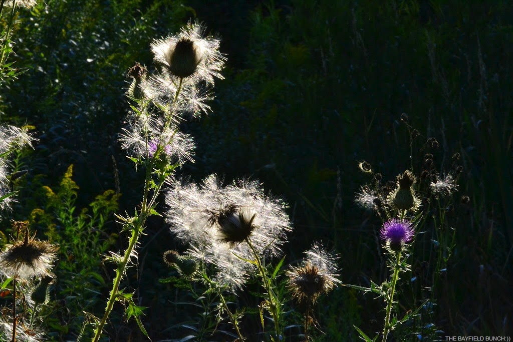 [DSC_0032%255B9%255D.jpg]